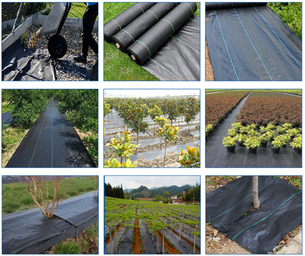 04eb1898-533e-4180-a1c2-b26cb4e7d38c