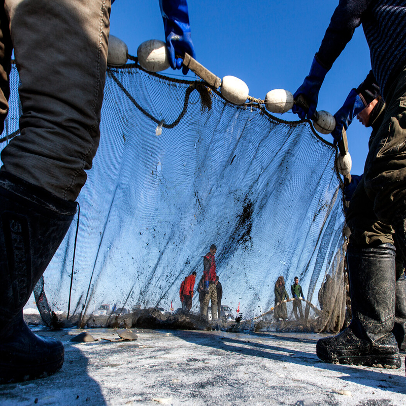 Fishing Net（News) (3)
