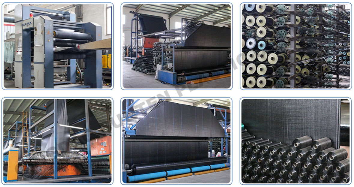 26eba1e9-c759-4586-92e7-c48ed6d99d5c