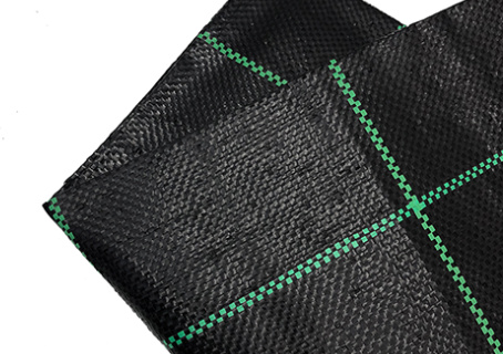 29641d7b-020b-4a19-b4f5-9d43ecef8fde