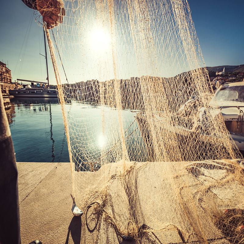 Fishing Net（News) (2)