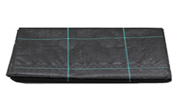 7d909333-50dc-4fcd-81d6-a3382fd29f2b