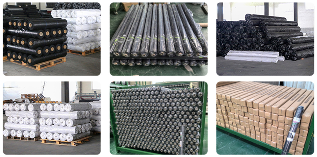 9bfb58fc-ed19-4921-bb06-3453bda9cfff