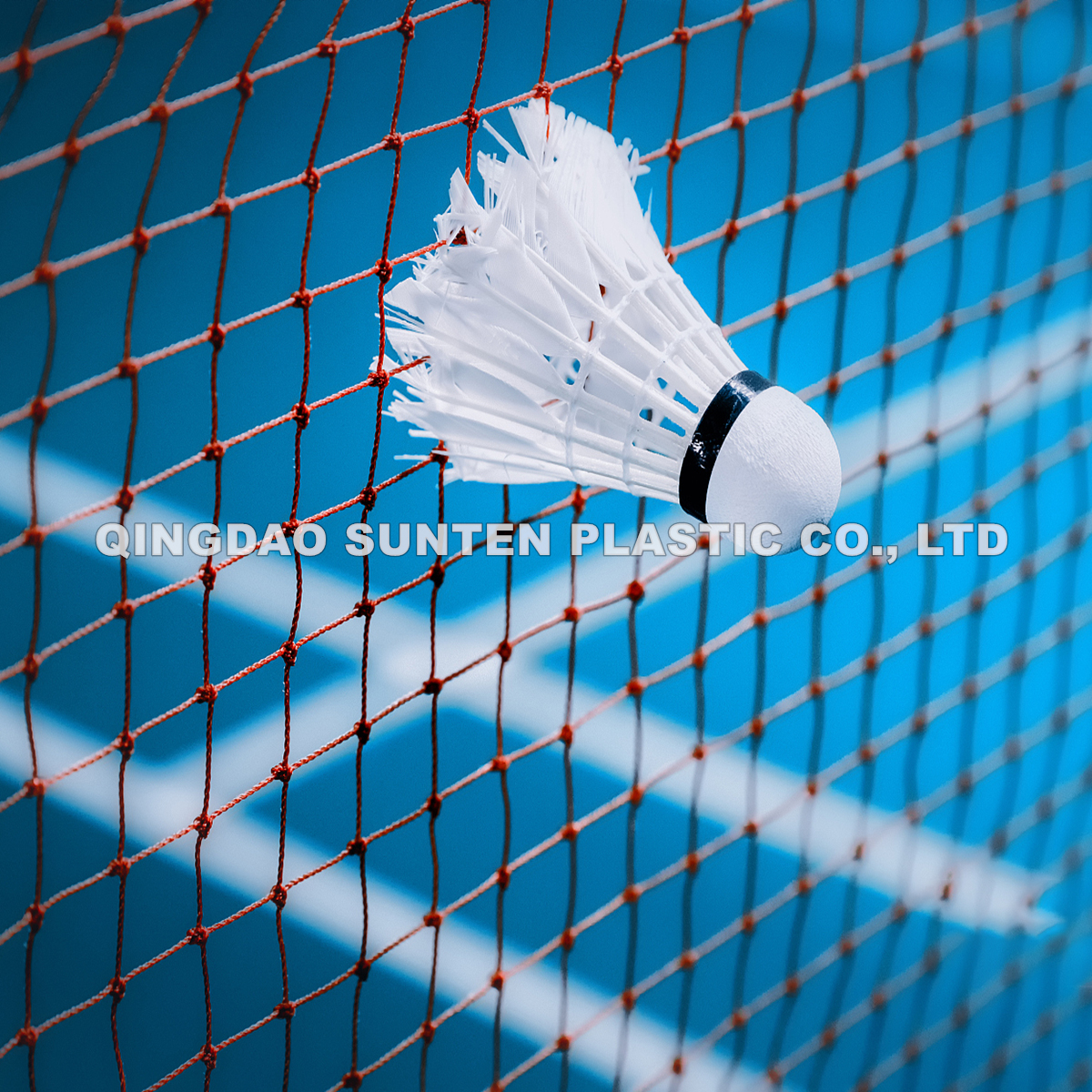 Jaring Badminton (5)