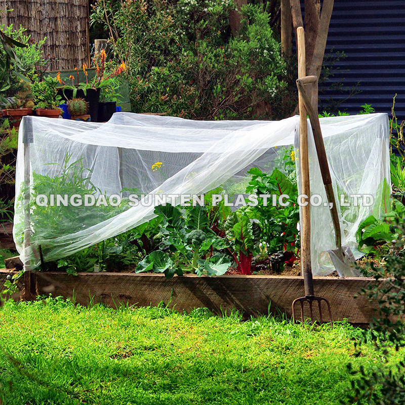 China Anti Insect Net (Insect Screen) Manufacturer and Supplier