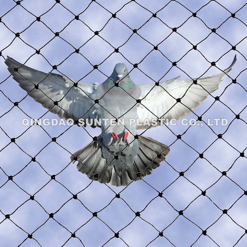 PE Bird Net (6)