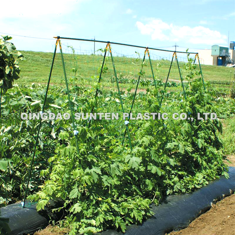 Plant Support Net (Knotted) (7)
