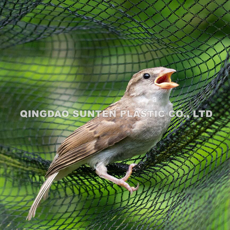 Raschel Bird Net (5)