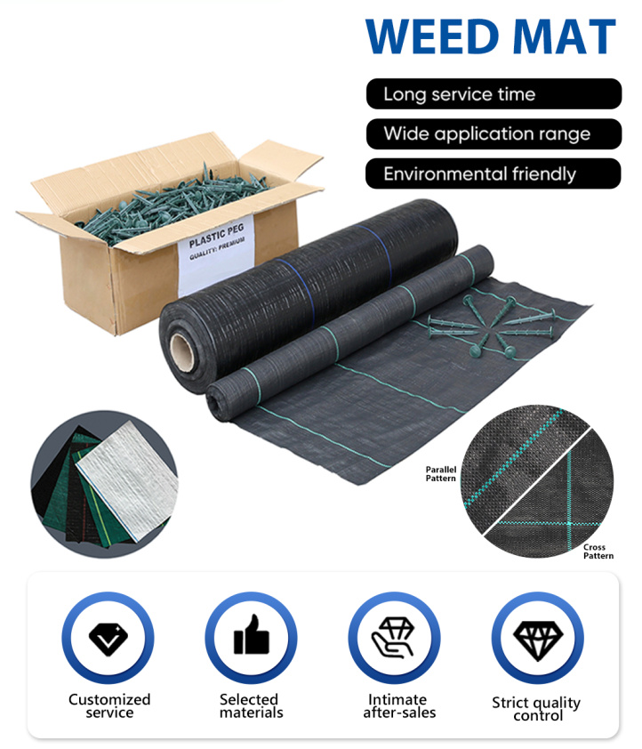 c66cbb45-384c-455e-b543-bf63119febe0