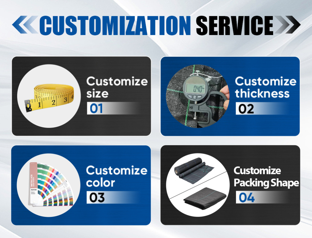 c6934be9-e5e7-43b1-b0e9-df4278aebd47