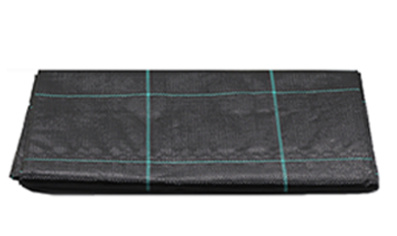 e177abd9-4337-419a-ac73-37b847d60e25