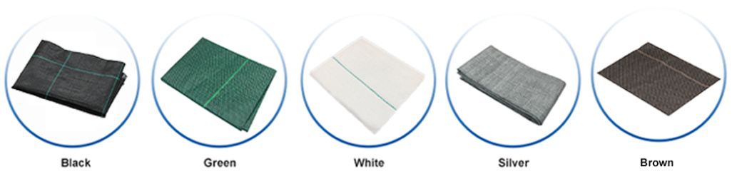 e60208bc-07ea-4556-8980-82761e61853a