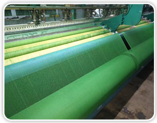 screenshot_2026-01-31_11-51-40