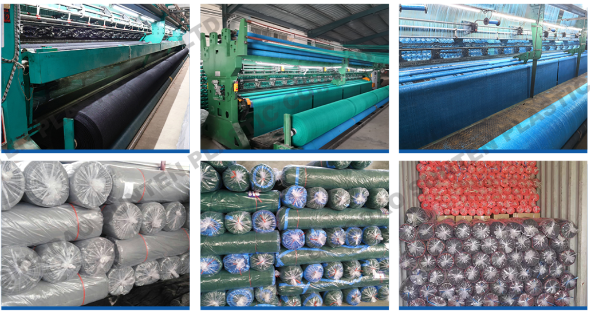 screenshot_2026-01-31_13-40-52