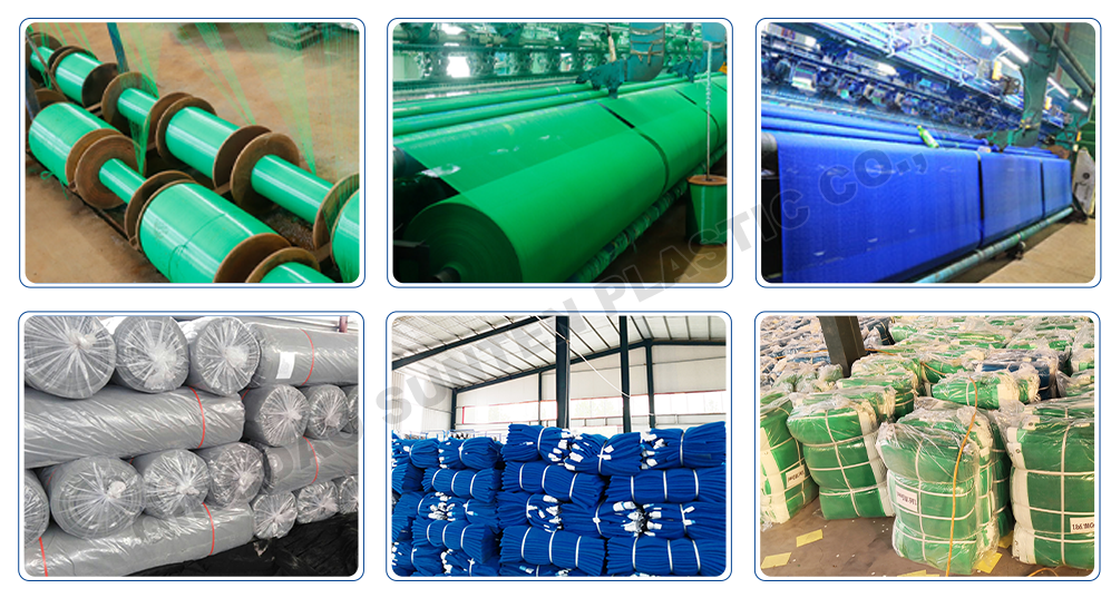 screenshot_2026-01-31_13-46-03