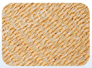 screenshot_2026-02-02_11-47-47