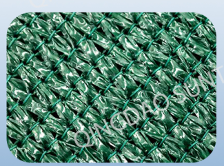 screenshot_2026-02-02_11-47-57