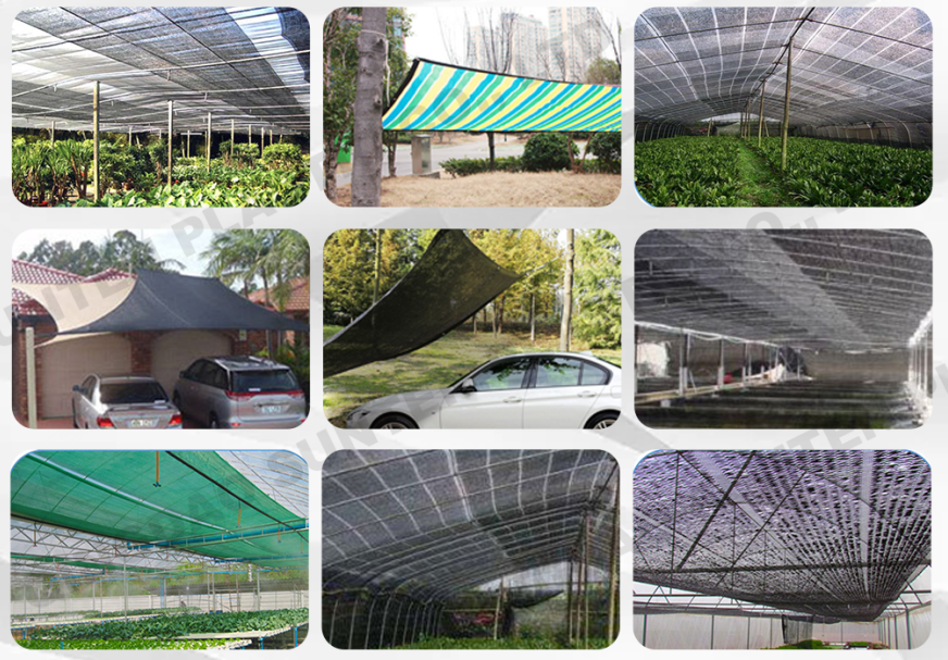 screenshot_2026-02-02_13-56-49