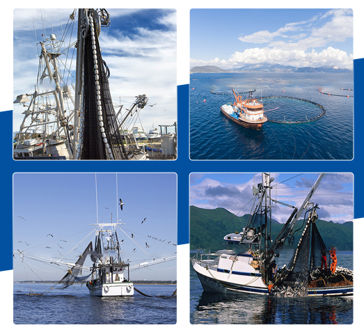 screenshot_2026-02-02_14-32-20