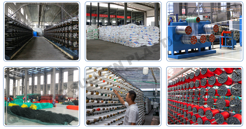 screenshot_2026-02-03_11-49-10