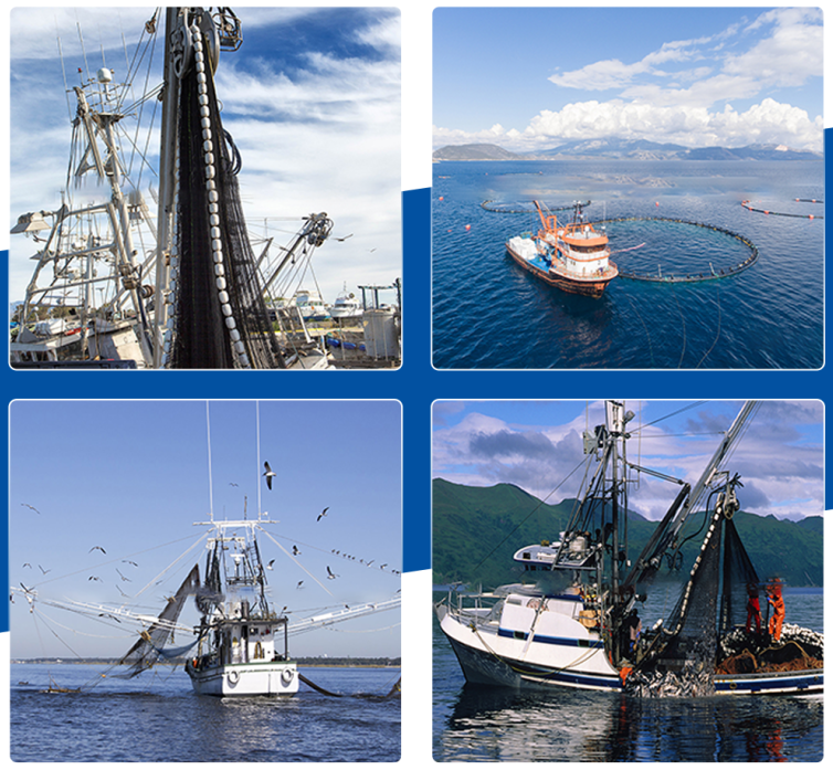 screenshot_2026-02-03_13-51-53