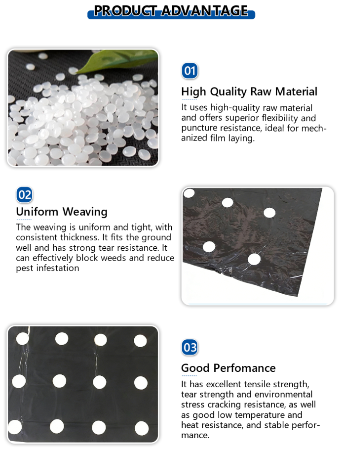 screenshot_2026-03-02_09-32-33