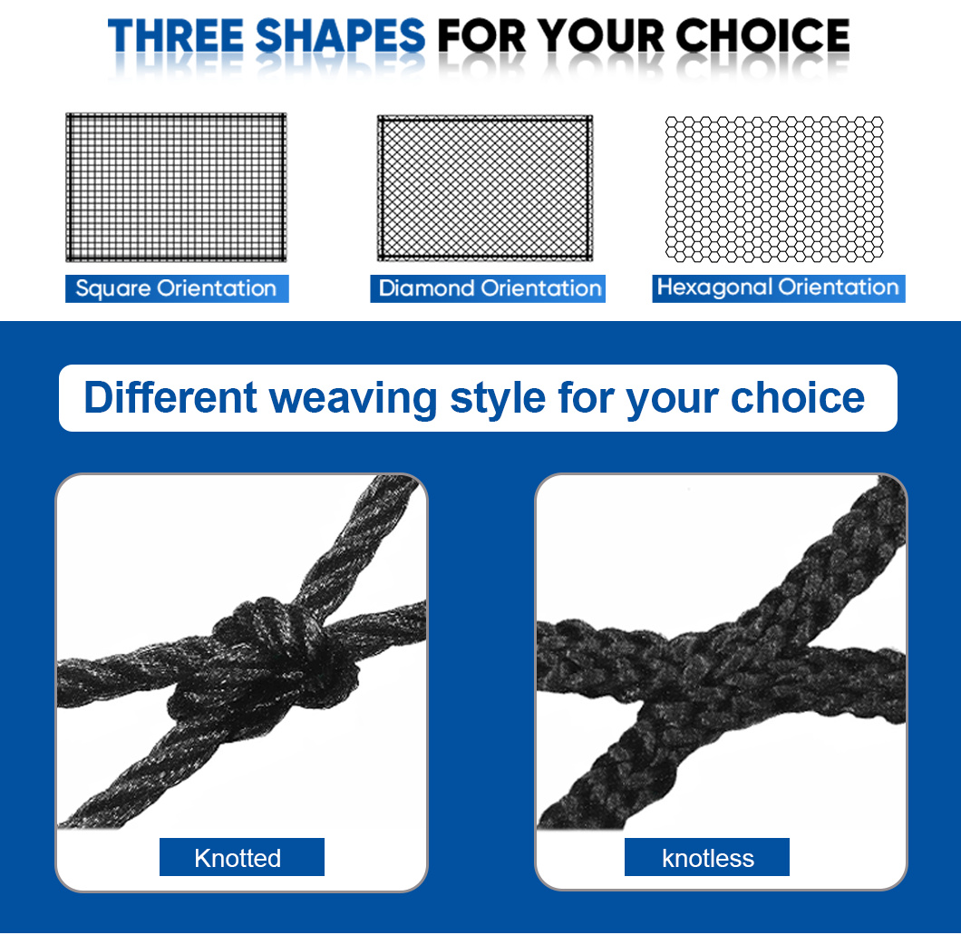 体育网产品介绍 拷贝3